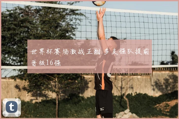 世界杯赛场激战正酣 多支强队提前晋级16强