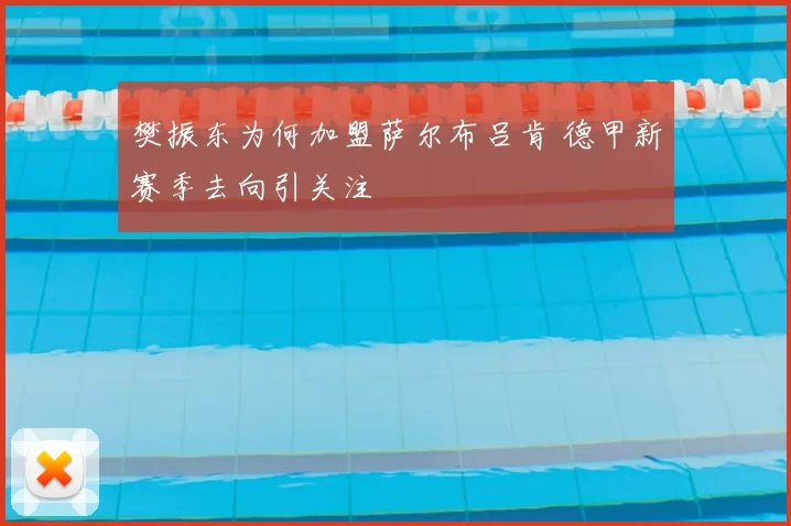 樊振东为何加盟萨尔布吕肯 德甲新赛季去向引关注