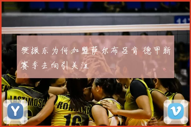 樊振东为何加盟萨尔布吕肯 德甲新赛季去向引关注