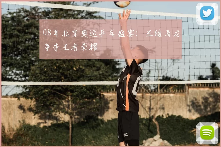 08年北京奥运乒乓盛宴：王皓马龙争夺王者荣耀