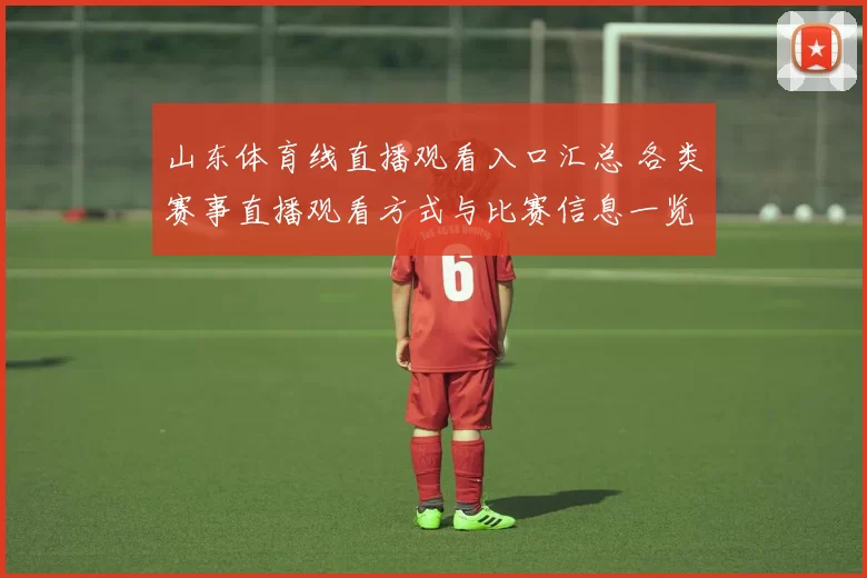 山东体育线直播观看入口汇总 各类赛事直播观看方式与比赛信息一览