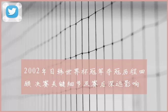 2002年日韩世界杯冠军夺冠历程回顾 决赛关键细节及赛后深远影响