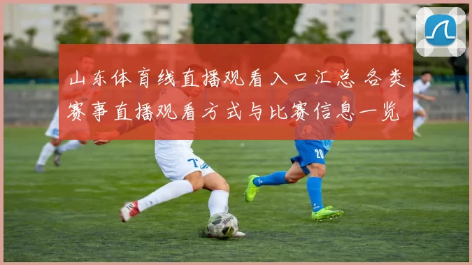 山东体育线直播观看入口汇总 各类赛事直播观看方式与比赛信息一览
