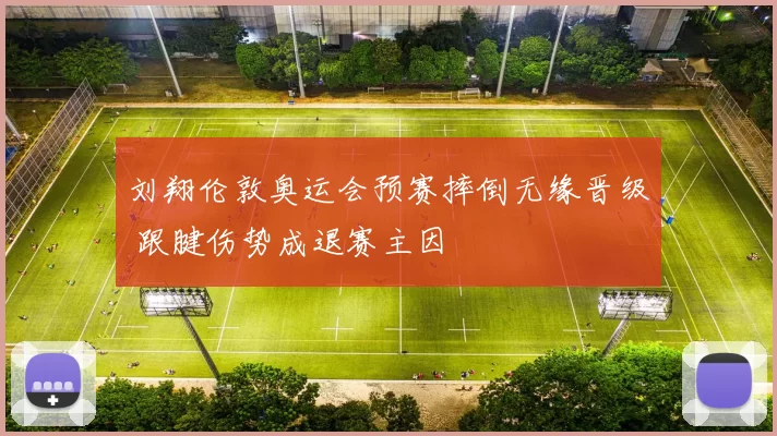 刘翔伦敦奥运会预赛摔倒无缘晋级 跟腱伤势成退赛主因