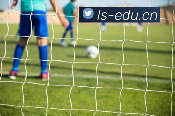 九游手机官网入口品牌故事